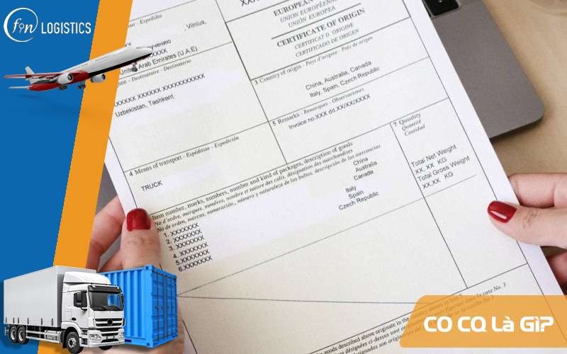 CQ có vai trò như thế nào?